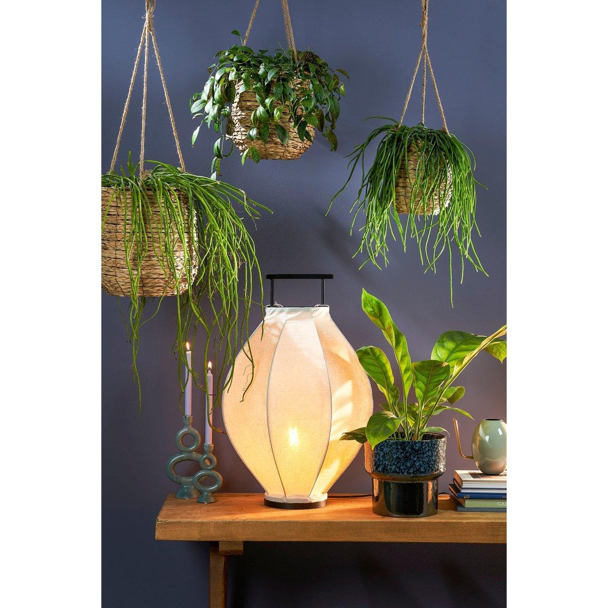 Hängetopf Avalon – 3er-Set – H90 x Ø30 cm – Seegras – Hellbraun - Vitalia Bloom