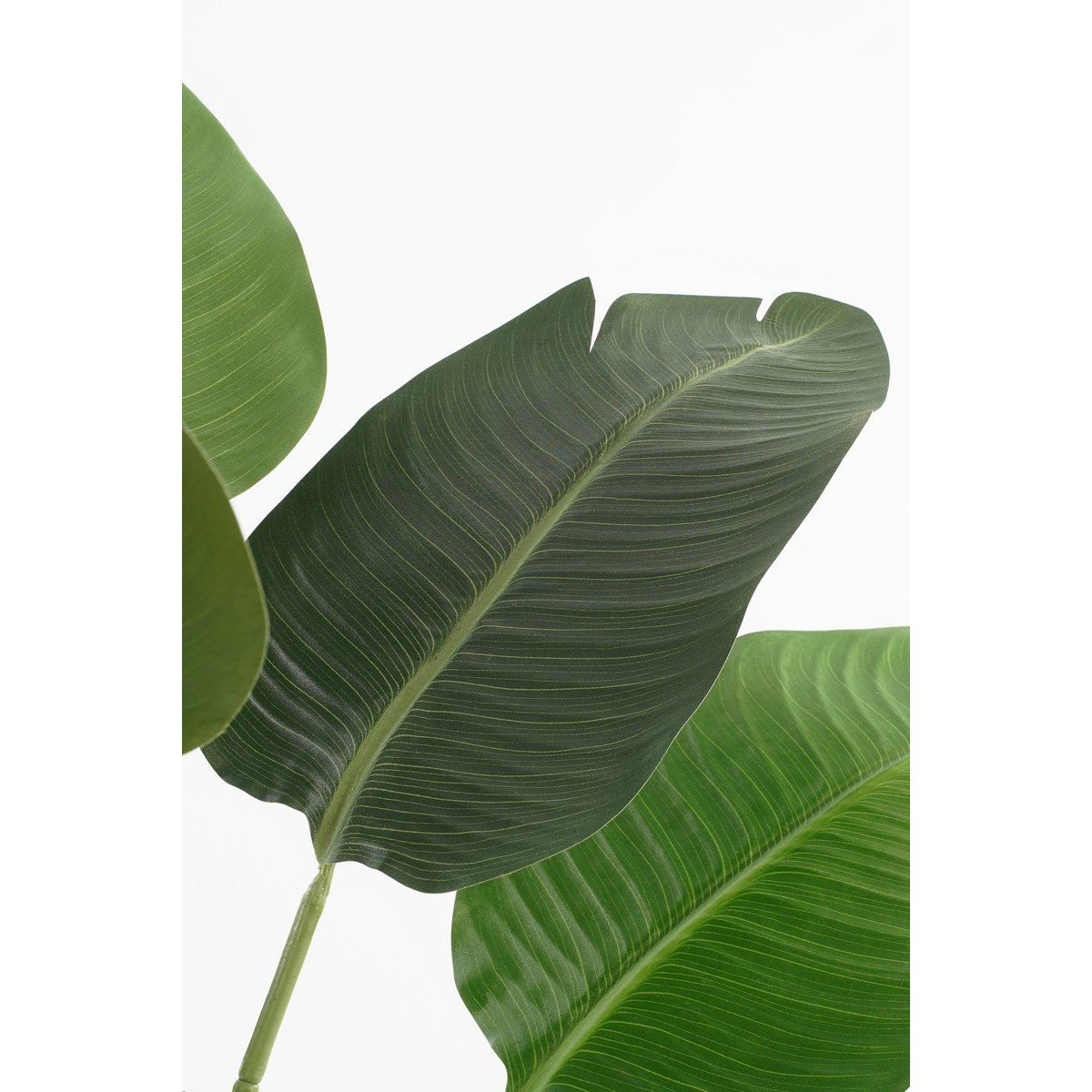 Künstliche Pflanzenbananenbaum - H120 x Ø30 - Grün