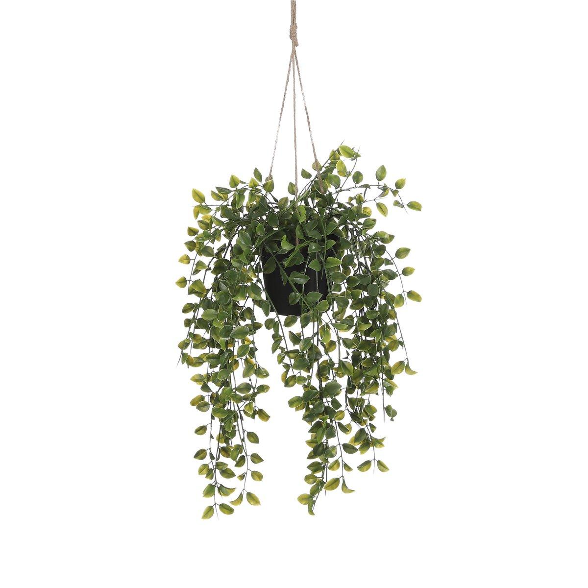 Künstliche Ficus-Hängepflanze im Topf – H46 x Ø20 cm – Grün - Vitalia Bloom