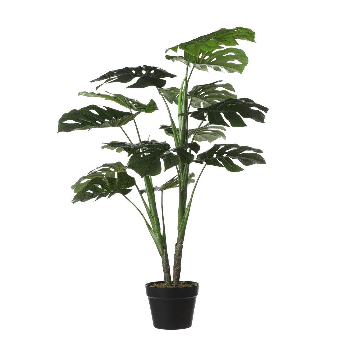 Künstliche Pflanze Monstera – H100 x Ø70 cm – Grün - Vitalia Bloom