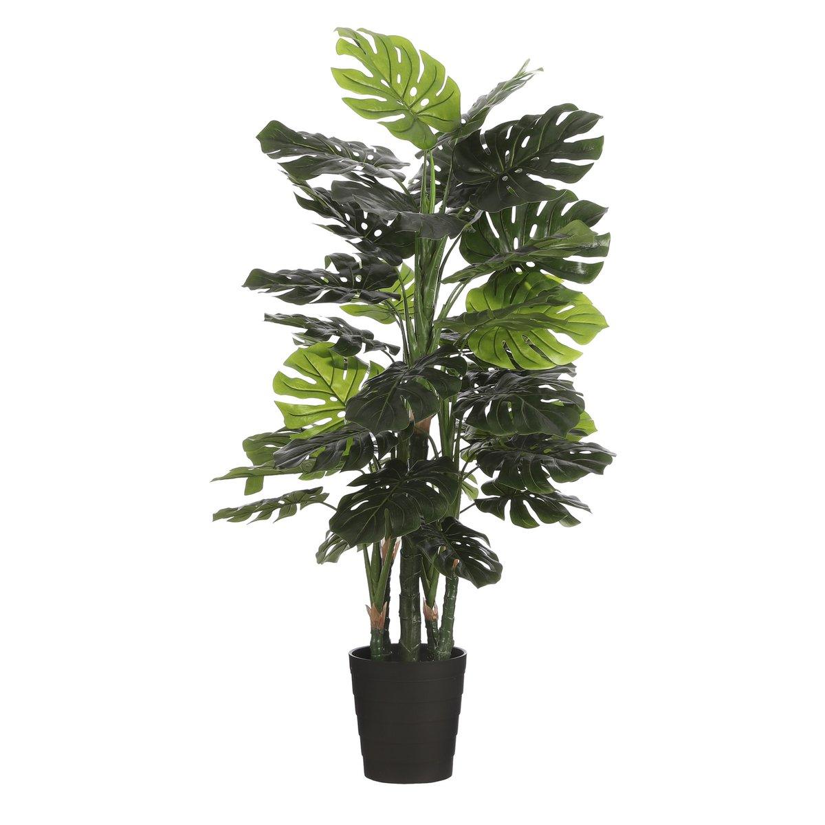 Künstliche Pflanze Monstera – H140 x Ø80 cm – Grün - Vitalia Bloom