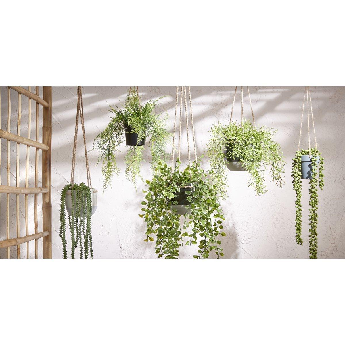 Künstliche Ficus-Hängepflanze im Topf – H46 x Ø20 cm – Grün - Vitalia Bloom