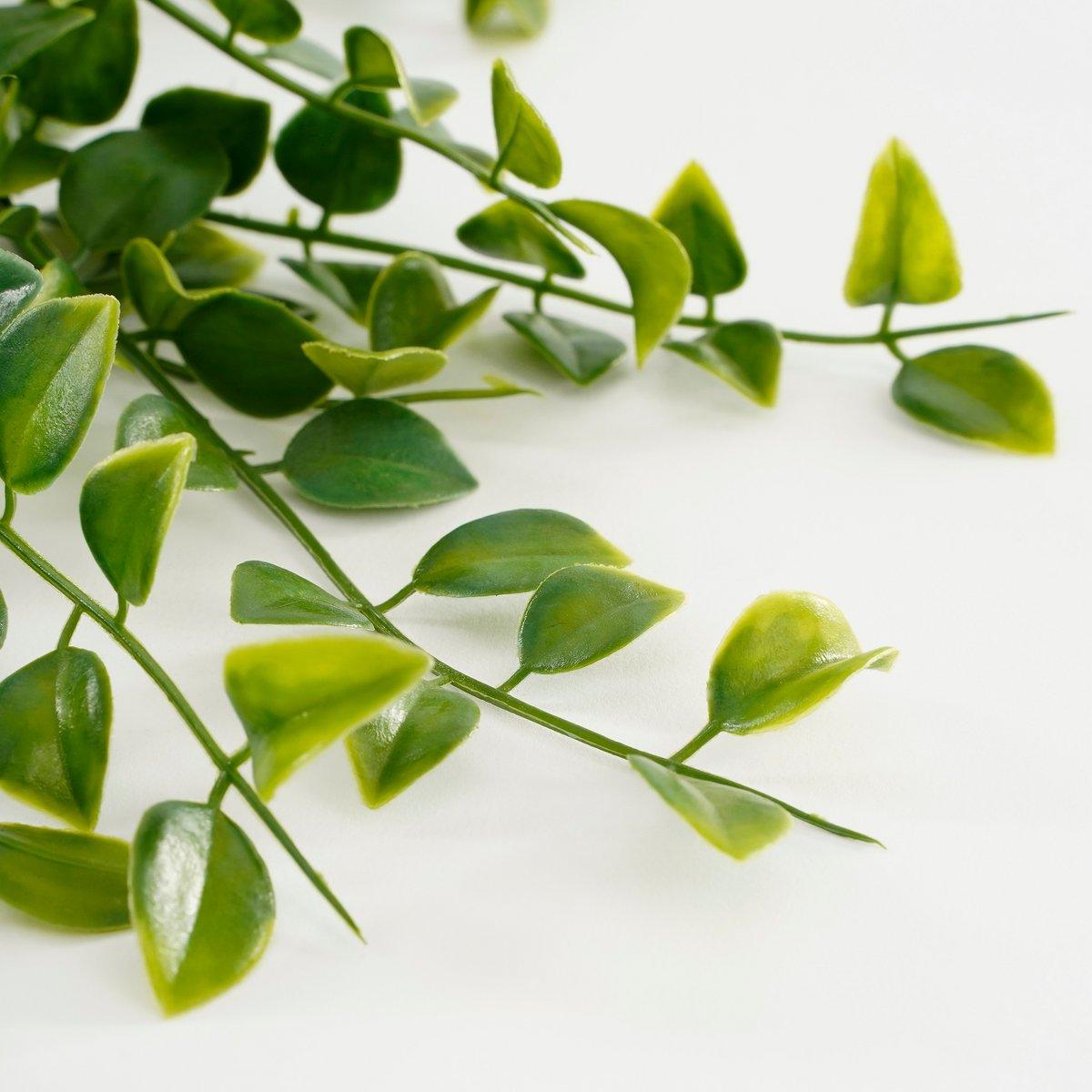 Künstliche Ficus-Hängepflanze im Topf – H46 x Ø20 cm – Grün - Vitalia Bloom