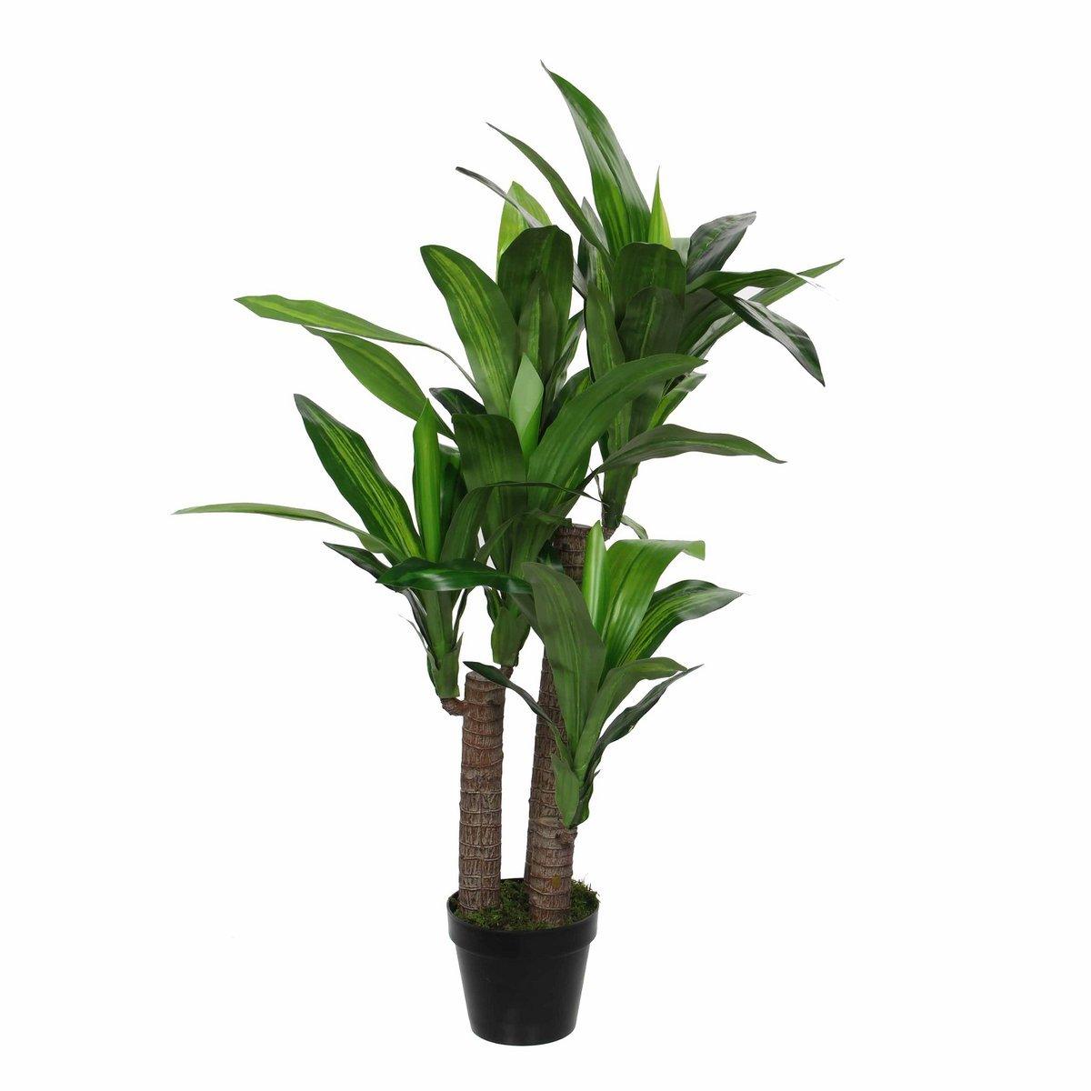Künstliche Dracaena-Pflanze – H110 x Ø60 cm - Vitalia Bloom