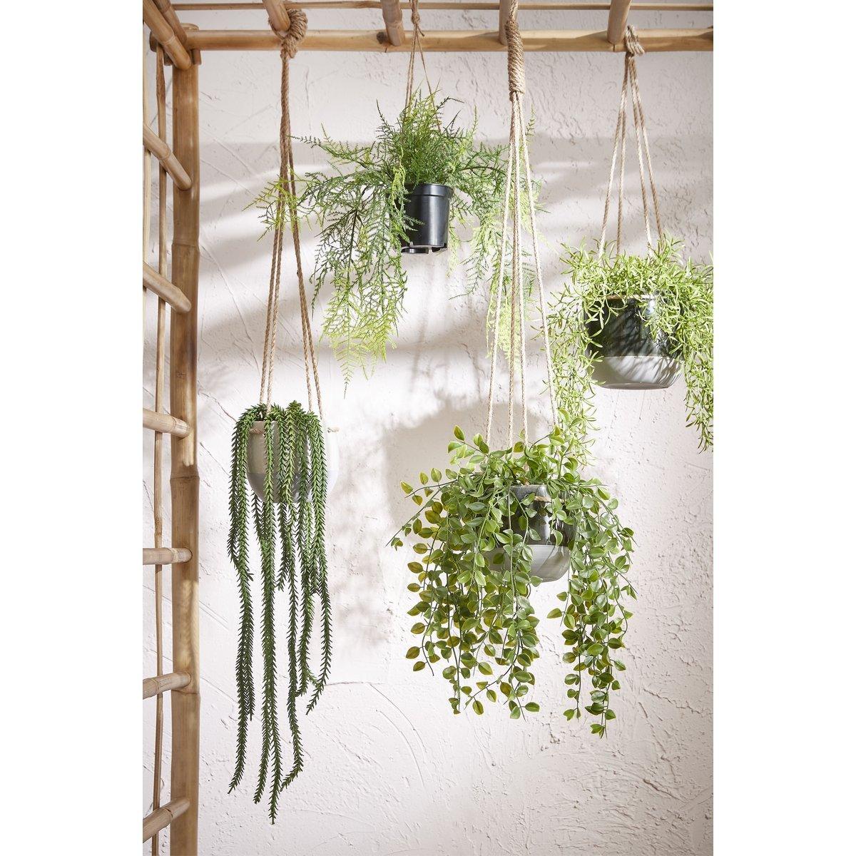 Künstliche Ficus-Hängepflanze im Topf – H46 x Ø20 cm – Grün - Vitalia Bloom