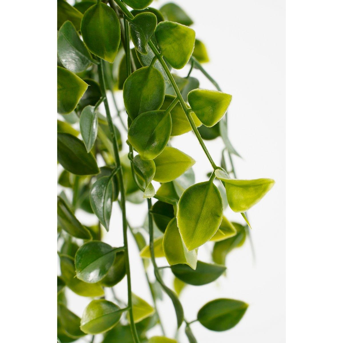 Künstliche Ficus-Hängepflanze im Topf – H46 x Ø20 cm – Grün - Vitalia Bloom