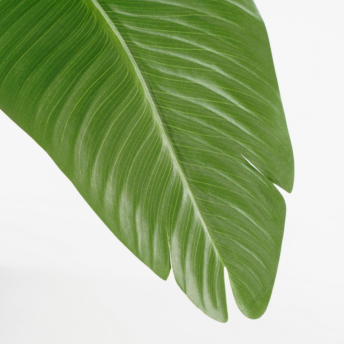 Künstliche Pflanzenbananenbaum - H120 x Ø30 - Grün