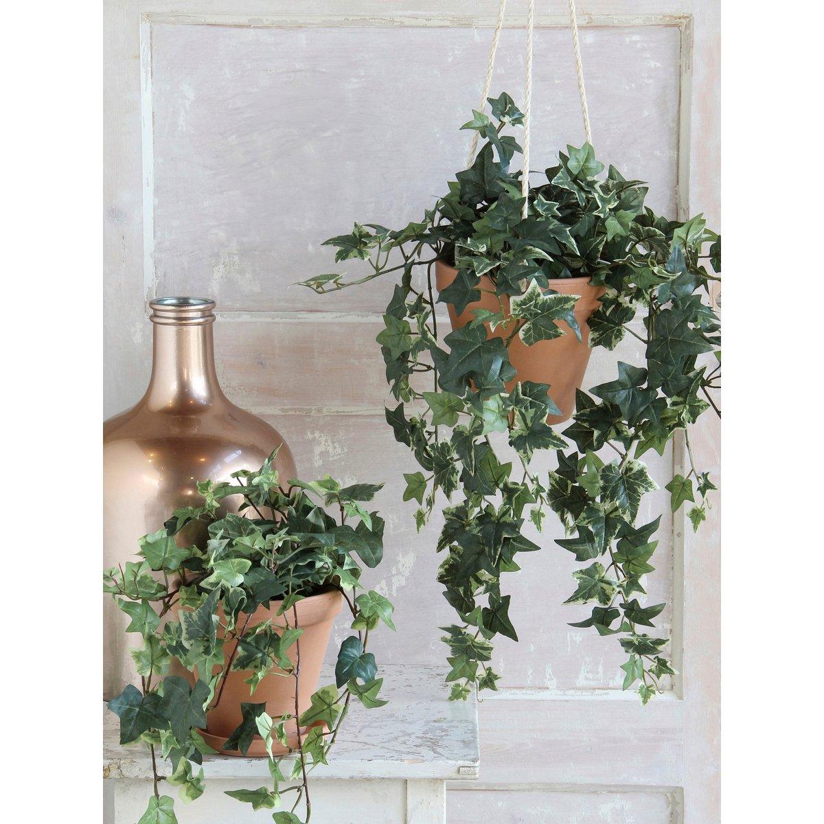 Künstliche Hedera-Pflanze im Blumentopf Stan – H45 x Ø25 cm – grün bunt - Vitalia Bloom