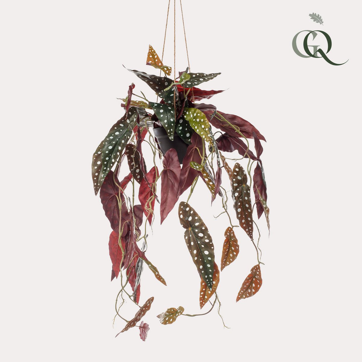KUNSTPLANT - Begonia maculata - Stippenbegonia - 80 cm