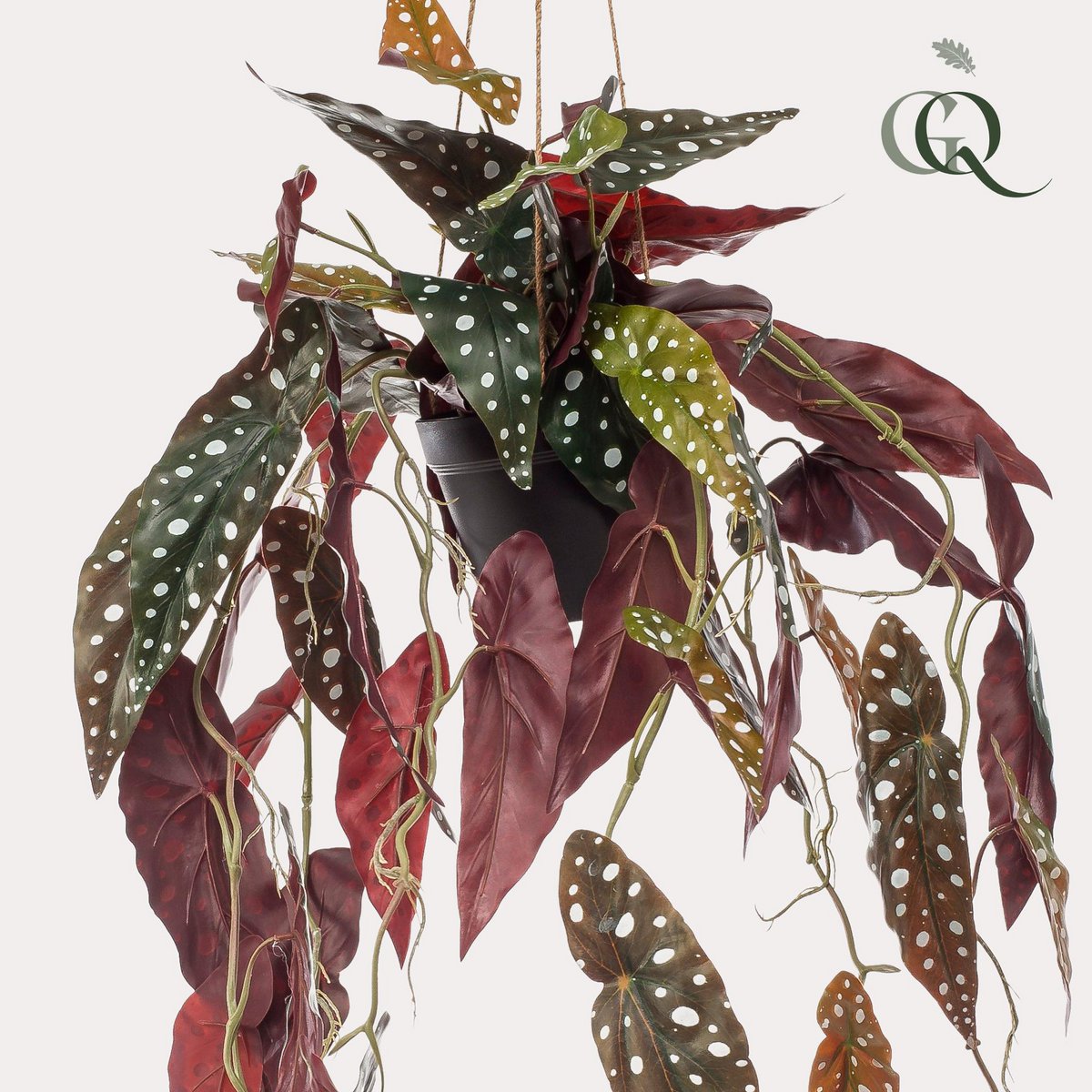 KUNSTPLANT - Begonia maculata - Stippenbegonia - 80 cm