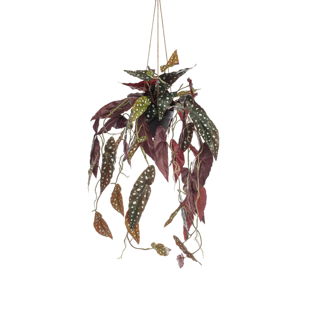 KUNSTPLANT - Begonia maculata - Stippenbegonia - 80 cm