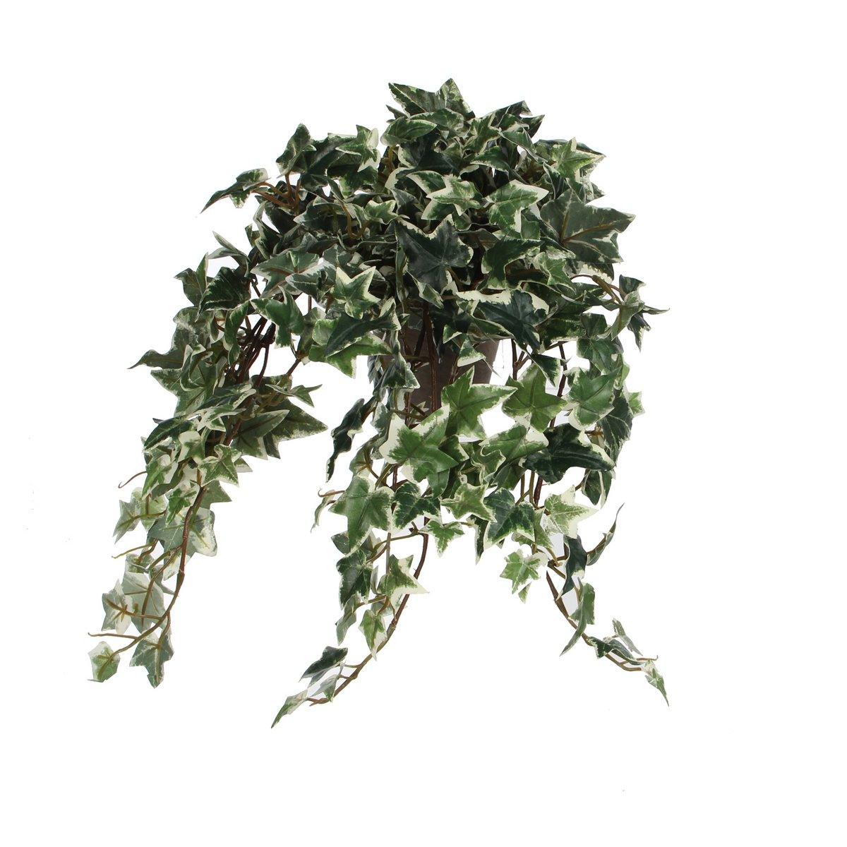 Künstliche Hedera-Pflanze im Blumentopf Stan – H45 x Ø25 cm – grün bunt - Vitalia Bloom