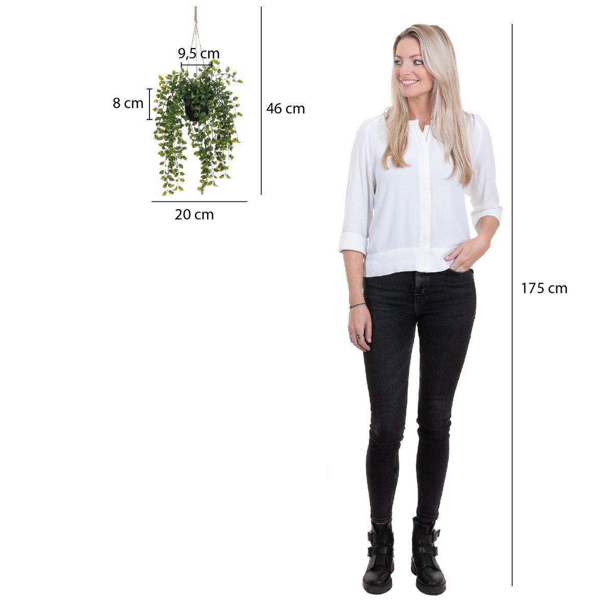 Künstliche Ficus-Hängepflanze im Topf – H46 x Ø20 cm – Grün - Vitalia Bloom