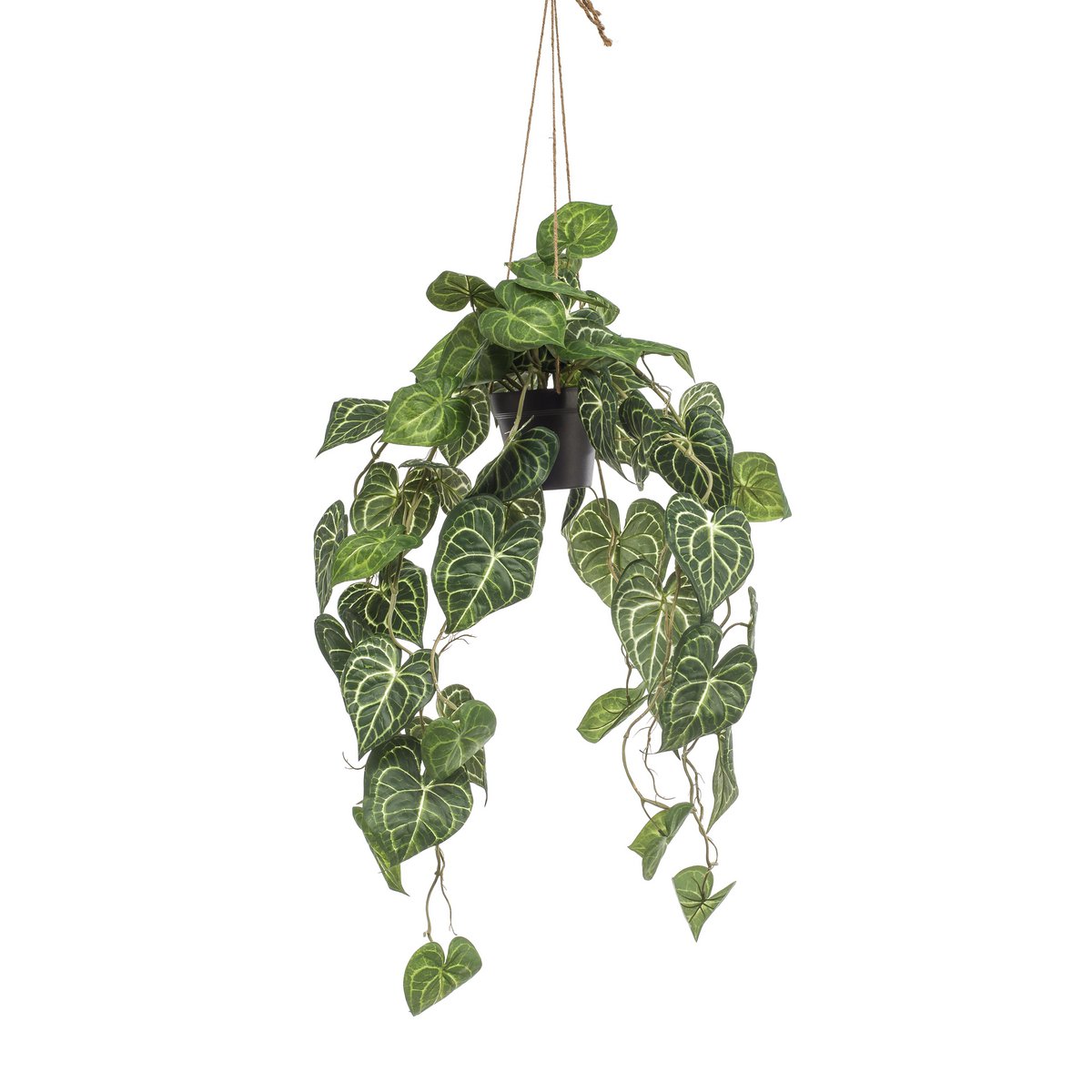 KUNSTPLANT - Anthurium Clarinervium - Aderplant - 80 cm