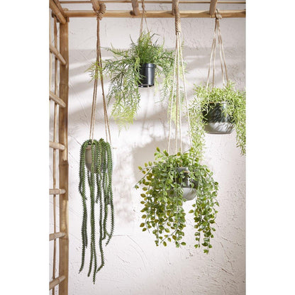 Künstliche Ficus-Hängepflanze im Topf – H46 x Ø20 cm – Grün - Vitalia Bloom