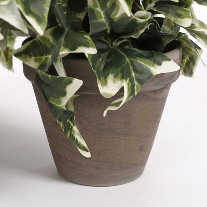 Künstliche Hedera-Pflanze im Blumentopf Stan – H45 x Ø25 cm – grün bunt - Vitalia Bloom