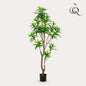 Künstliche Pflanze - Dracaena - Drachenbaum - 155 cm