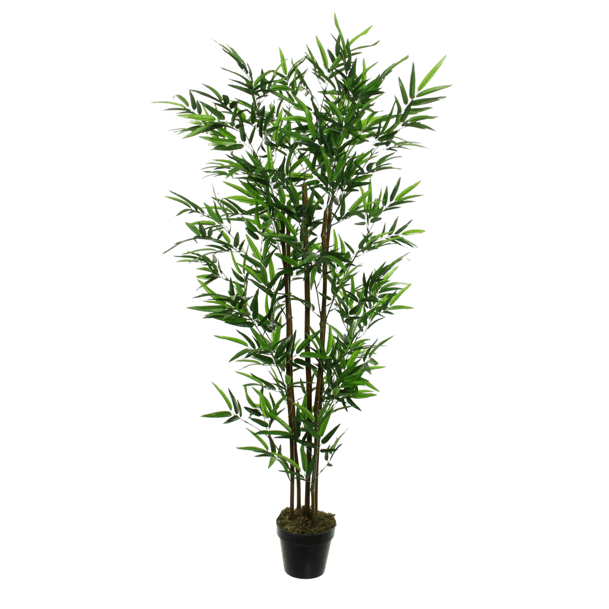 Künstliche Bambuspflanze – H155 x Ø90 cm – Grün - Vitalia Bloom