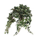 Künstliche Hedera-Pflanze im Blumentopf Stan – H45 x Ø25 cm – grün bunt - Vitalia Bloom