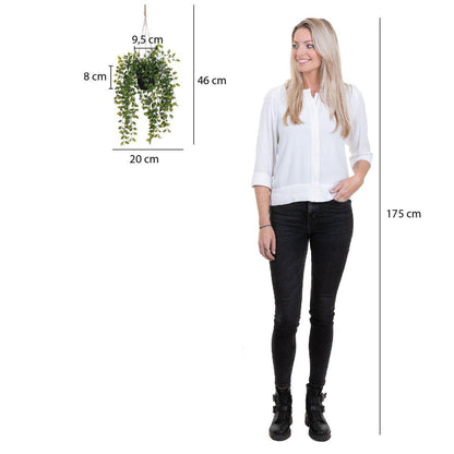 Künstliche Ficus-Hängepflanze im Topf – H46 x Ø20 cm – Grün - Vitalia Bloom