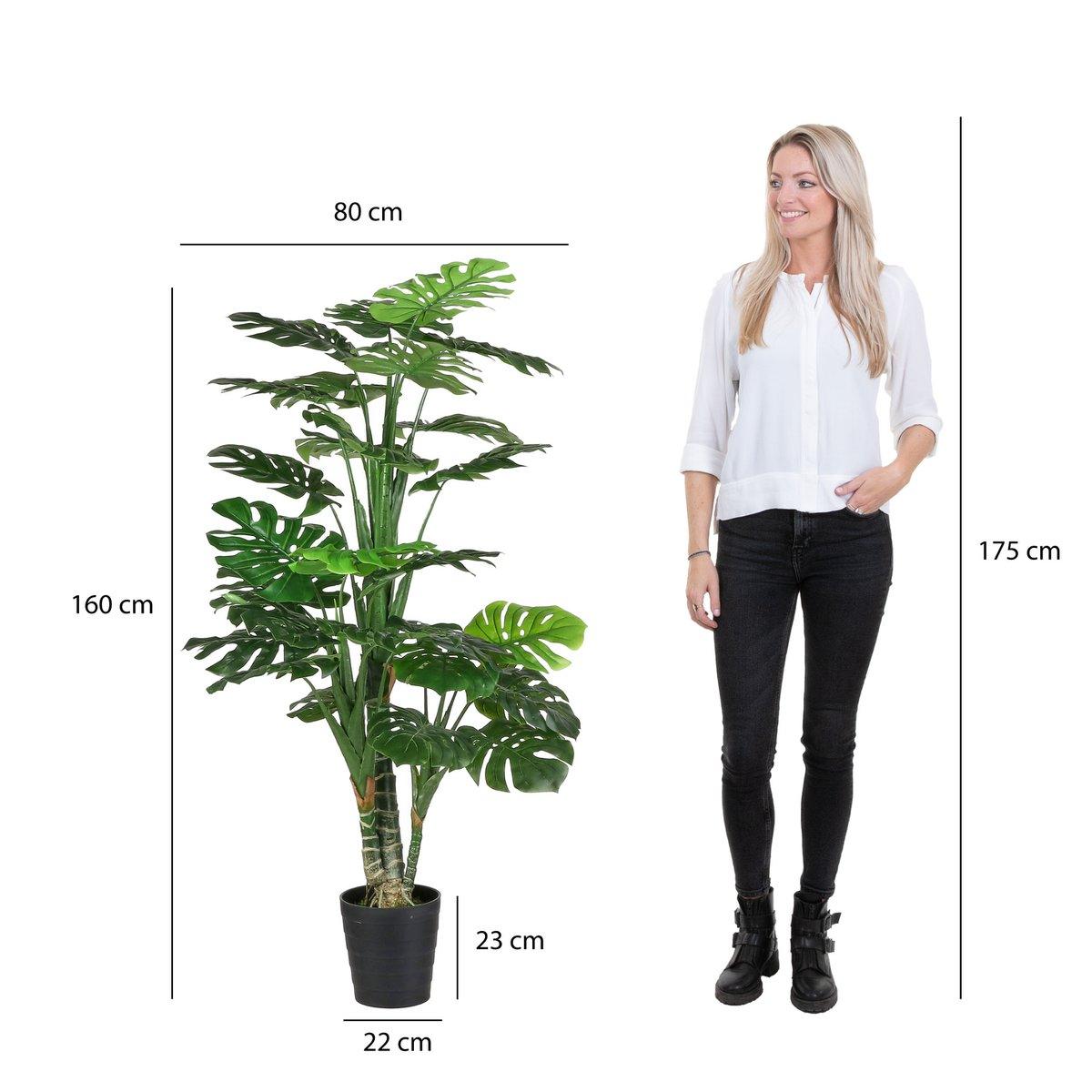 Künstliche Pflanze Monstera – H160 x Ø80 cm – Grün - Vitalia Bloom