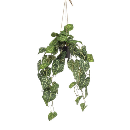 KUNSTPLANT - Anthurium Clarinervium - Aderplant - 80 cm